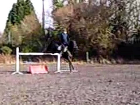 peacefull verticale 1m35 oxer 1m25