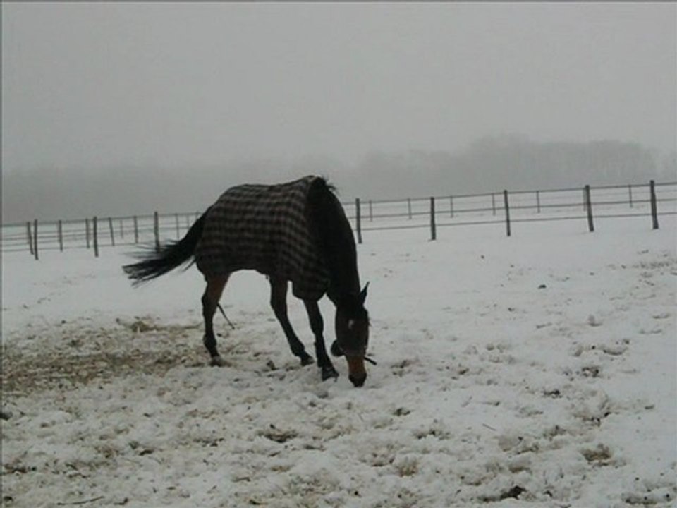 orthega sur la neige
