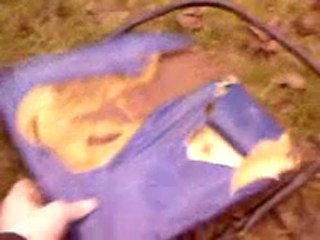 DBF vs Bastien (NSB)