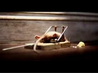 Une histoire de tapette