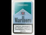 Philip morris