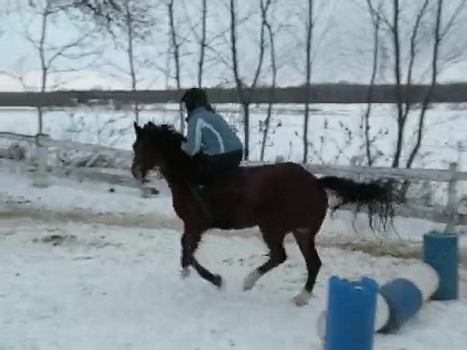 DSCN2343