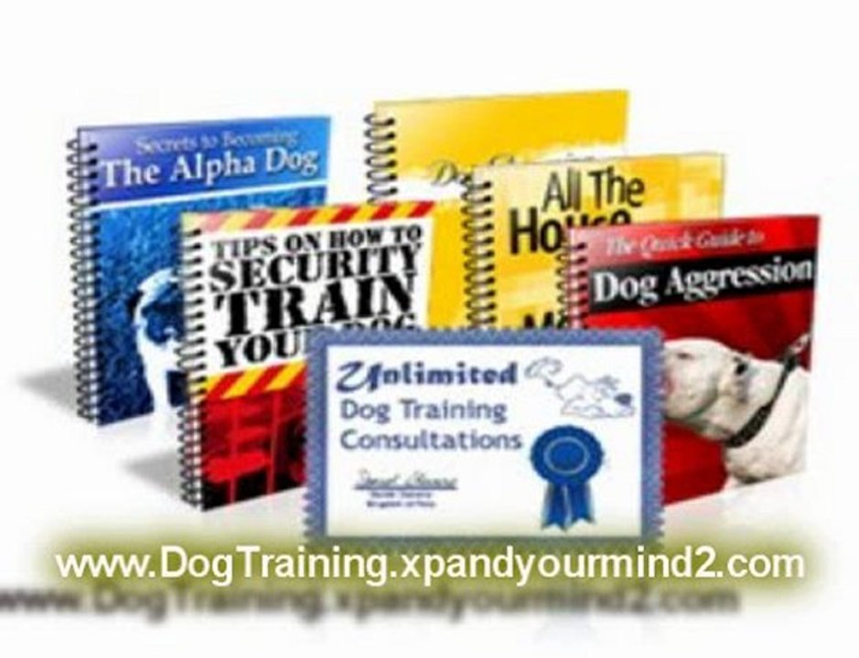 Dog Training