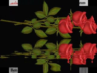 Cemal Safi Sensiz Baharı