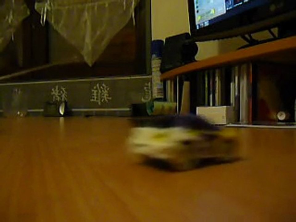 Drift sur le bureau  Lowwwwwl