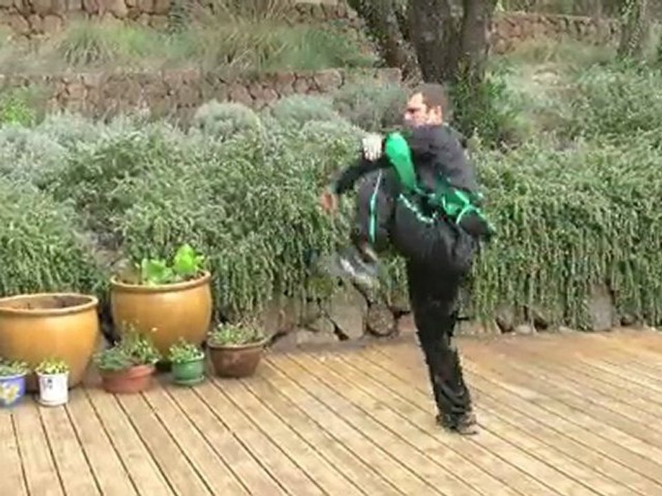 7 Star Mantis Kung Fu: Lan Jie (拦截/Intercepting Boxing) Demo