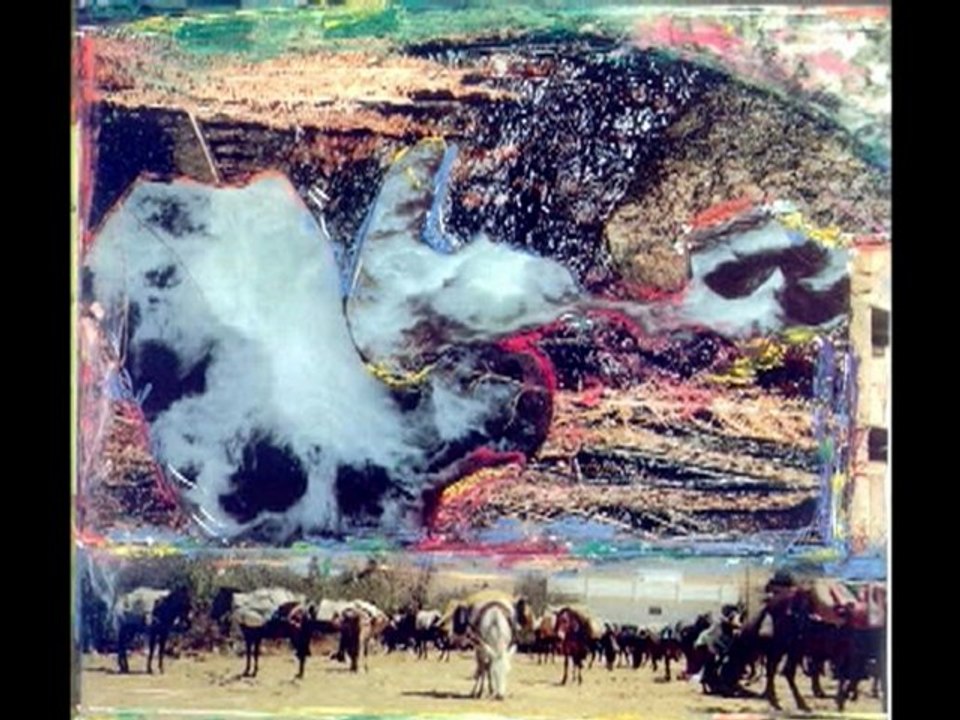 Stolen Organs Cartel - Heart of a Dog