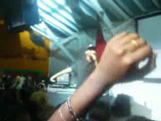 la fouine en gwada ( la kaza )