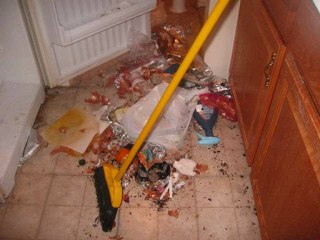 LNS vs The Mess: Who Cleans Best? 🧹