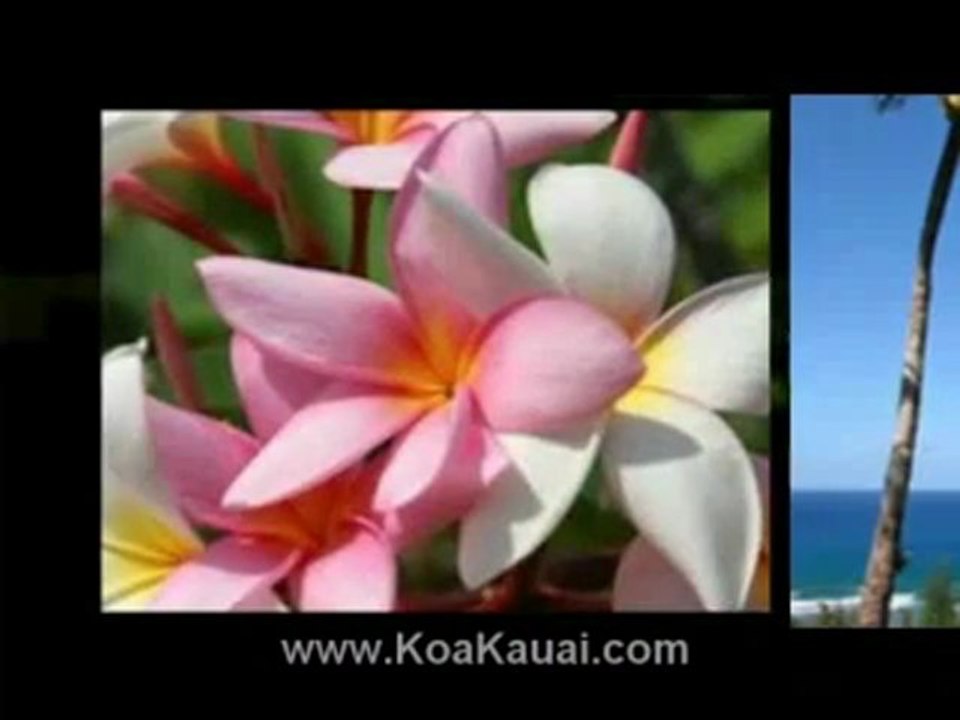 Kauai Island Real Estate