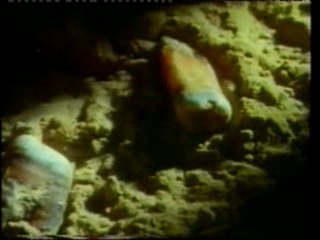 04_Harun Yahya - La Chute Du Darwinisme