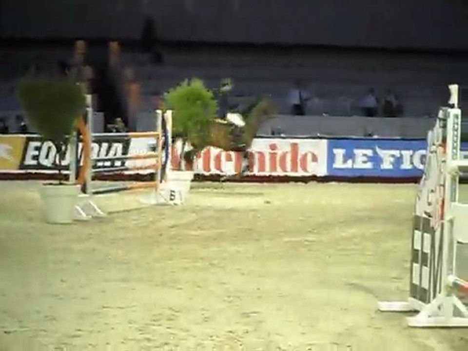 salon du cheval