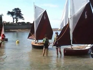 Rassemblement de Gazelles des Sables