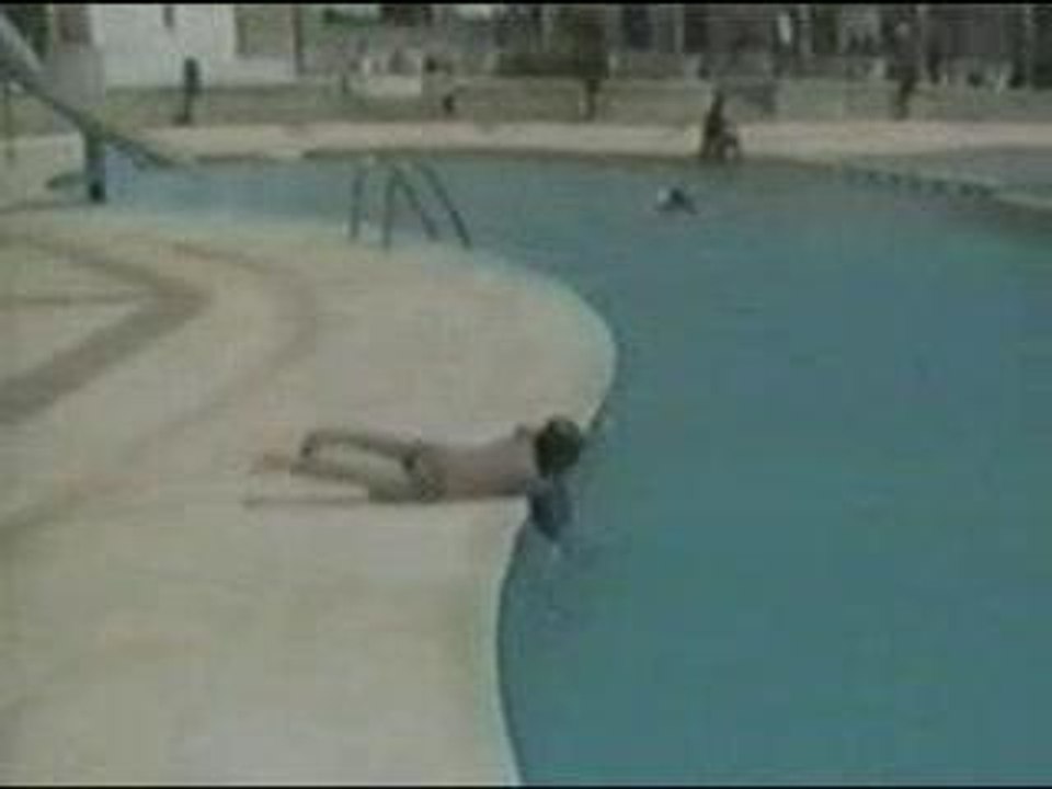 le grand plongeon