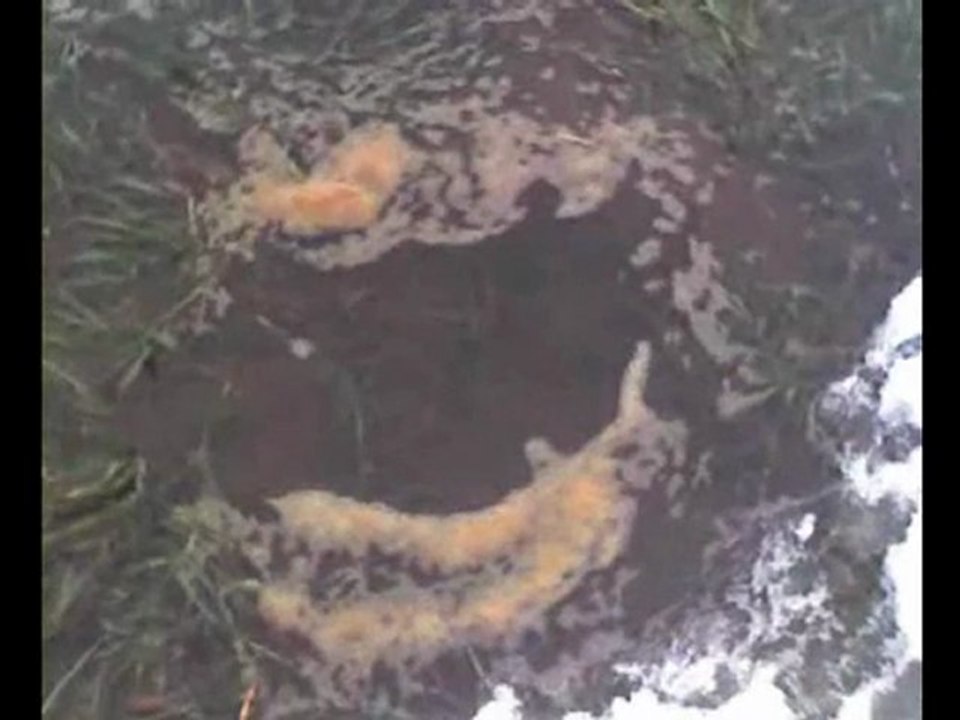 Micro-exsurgence du Doubs