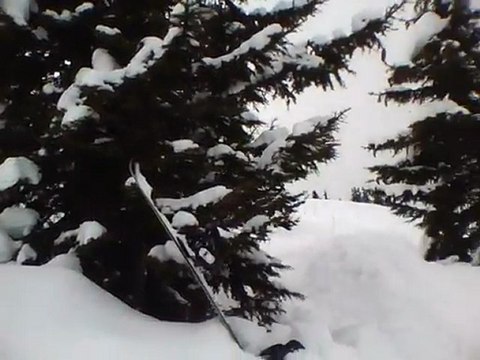 greg faucheur saut snow sapin