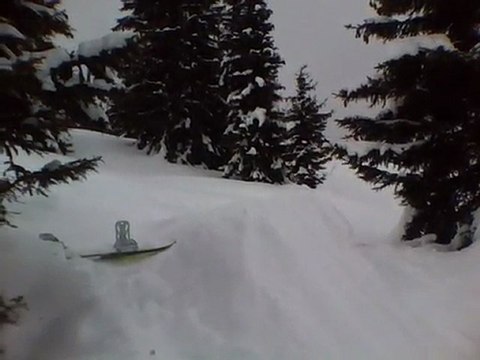 sapin reussi 2 gregory faucheur + potos jump