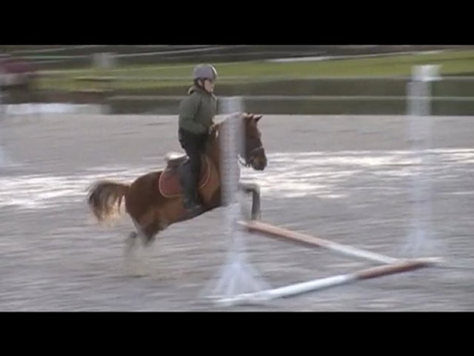 Thomas et Lucky  17/01/10