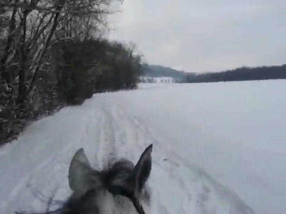 Balade avec Nedjie
