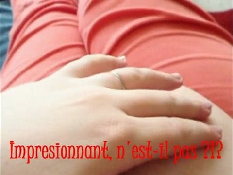 Florilèges de prises de vue de Bowris