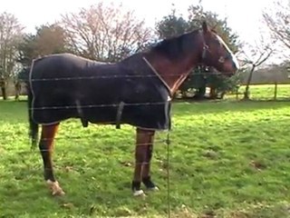 sirocco toujours plus beau