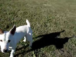 bandy et daïka au stade