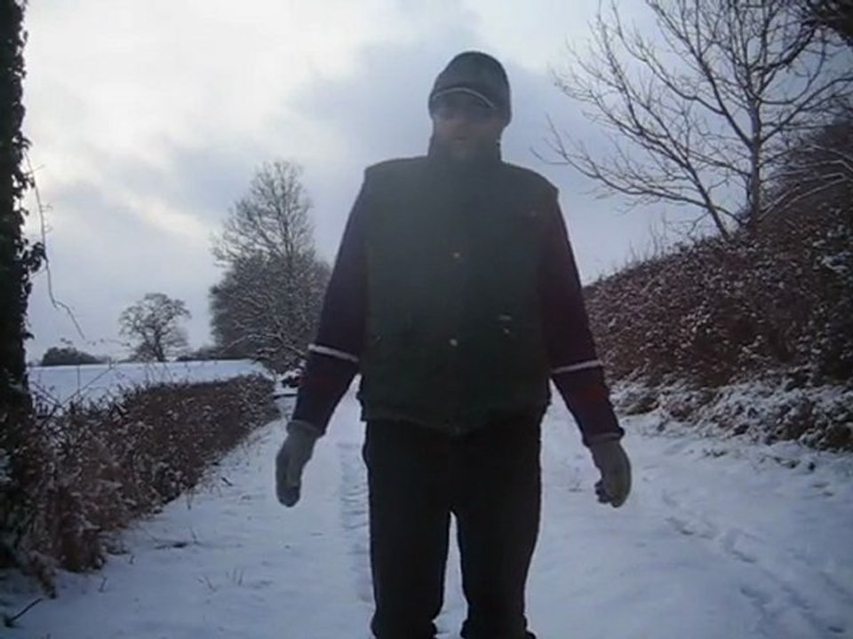 Imitons la marche du manchot