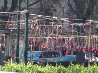Fallas 2009 Mascleta