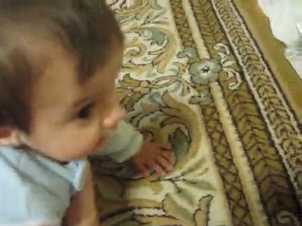 sasha à quatre pattes