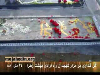 Flowers on a grave Martyrs freedom Paradise Zahra