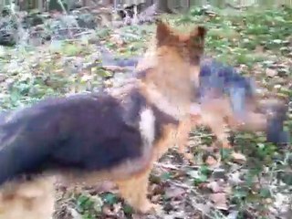 Cascà qui rencontre booba