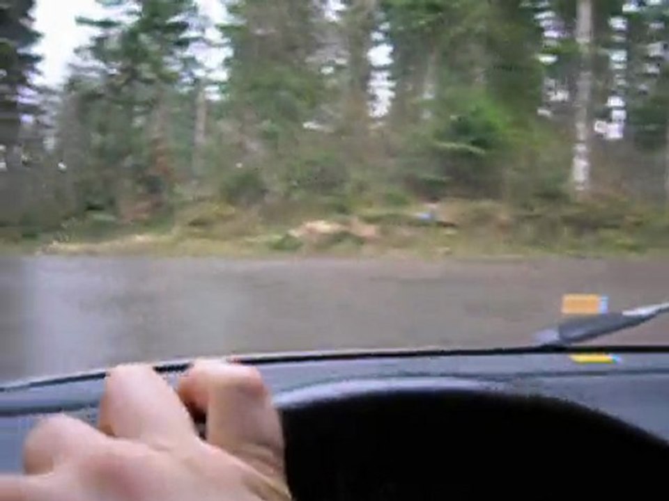 Balade en forêt de la Joux