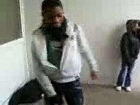 un bay african probo junior