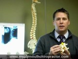 Chiropractor Plymouth,MN,55441,Free Consultation