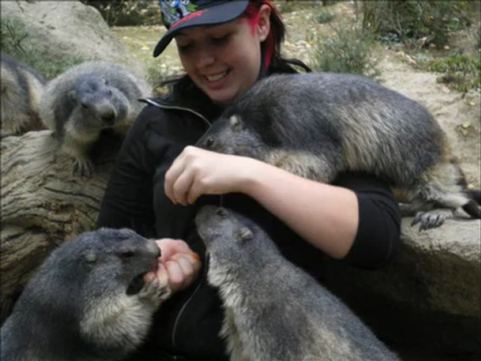 le parc animalier des pyrénées d'argeles-gazost