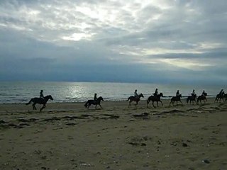 Balade au bord de la mer