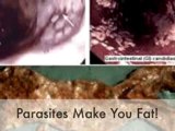 Colon Cleanse Parasites For Health And Weight Loss