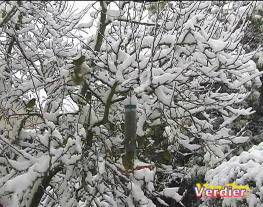 Jardins amis des oiseaux 1