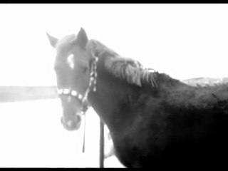 ○ Le meilleur reste à venir; One Year ♥