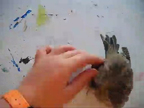 Faites la rencontre de petit verglas sur pointscommuns