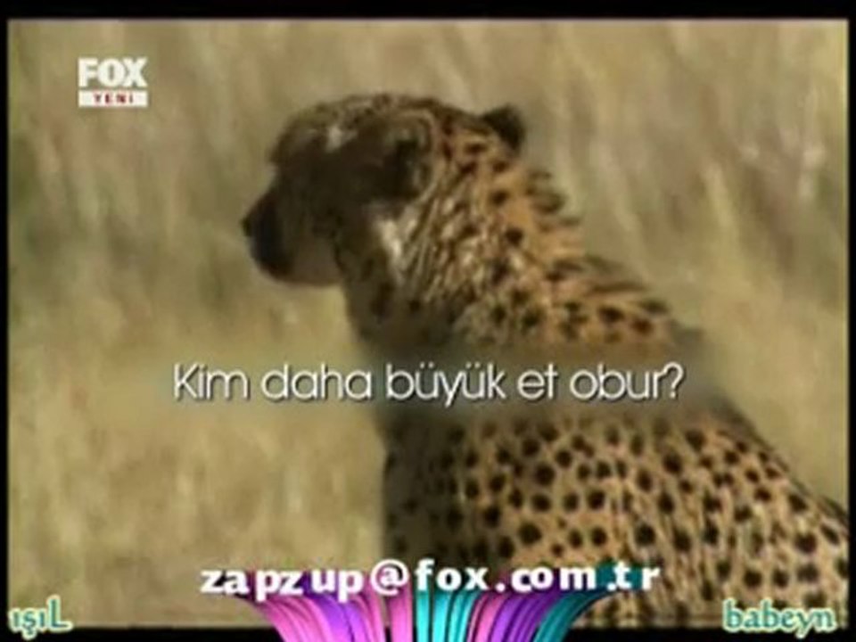 En Komik Reklamlar 1