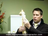 Chiropractor Plymouth,MN,55441,Free Consultation Disc Hernia