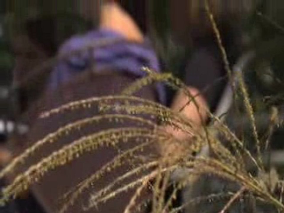 Eating Disorder Residential Treatment Center