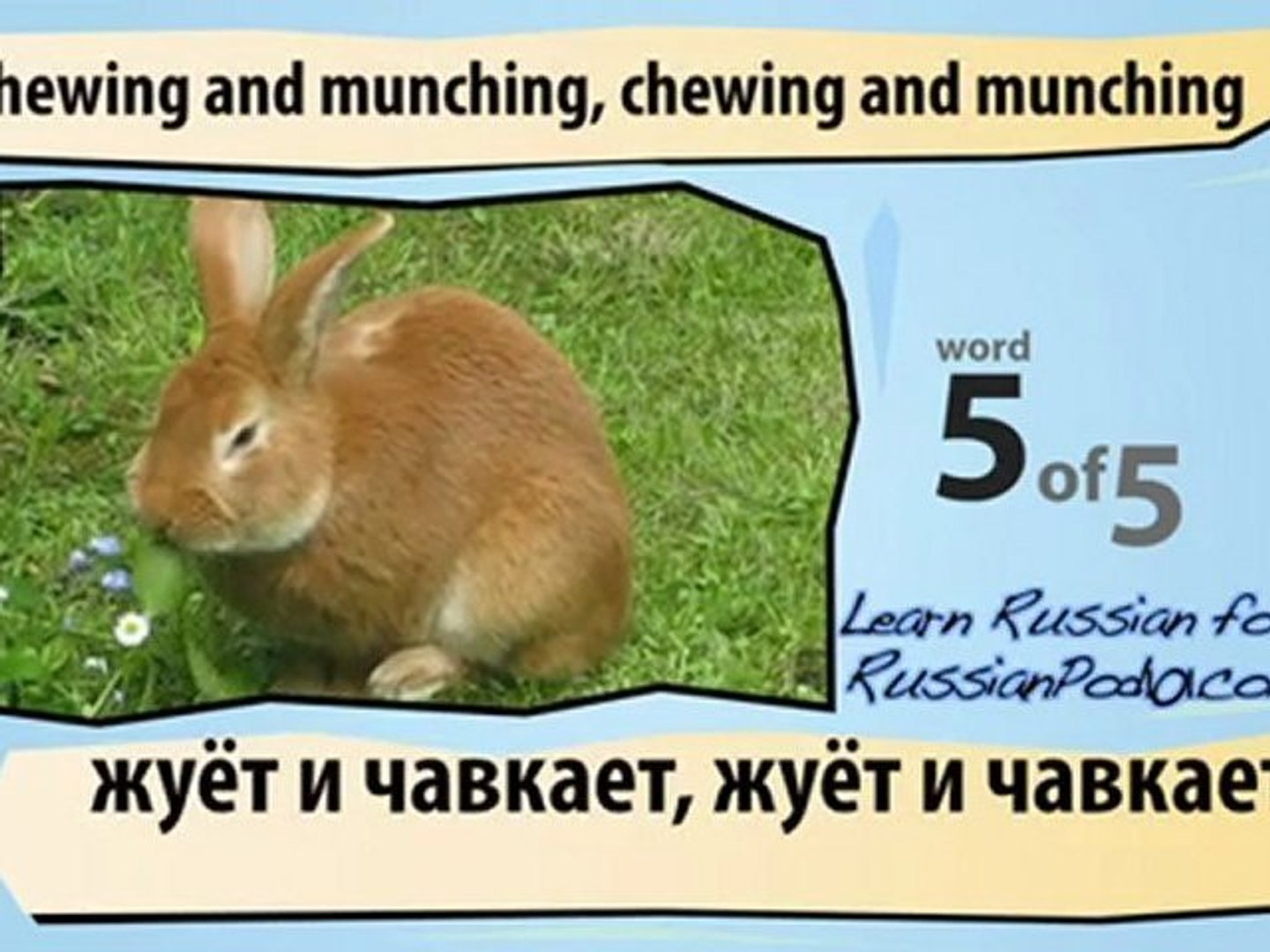 ⁣Learn Russian - Learn with Russian Common Animal Videos