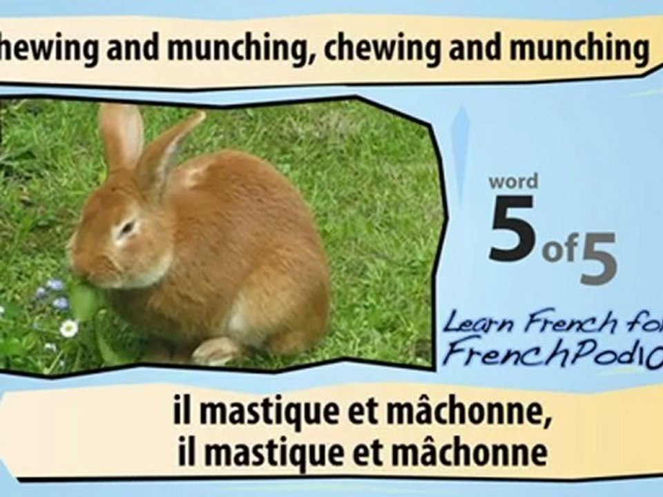 Learn French - Learn with French Common Animal Videos