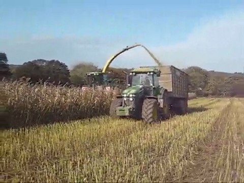 Evrard à l'Ensilage de maïs 09