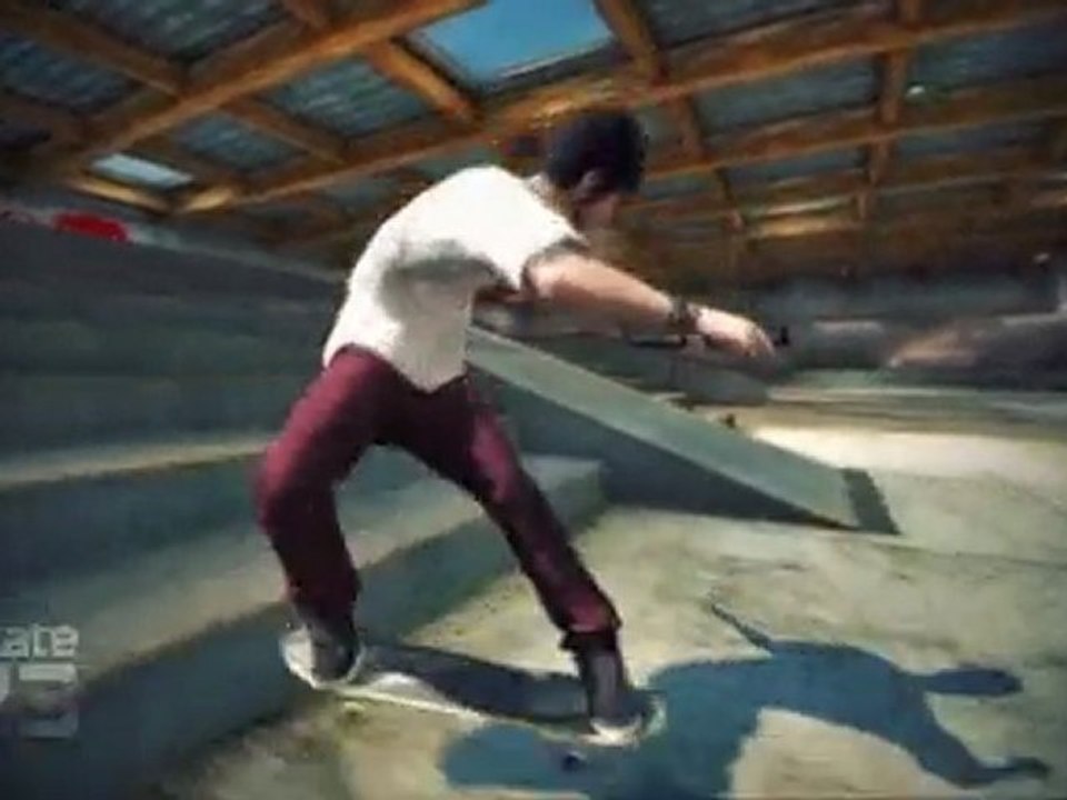 Skate 3