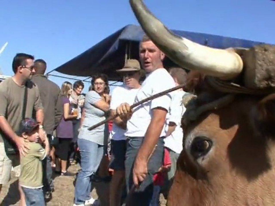 3ème Fête du Parc du Marais poitevin - Marans