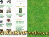 Wild Bird Feeders