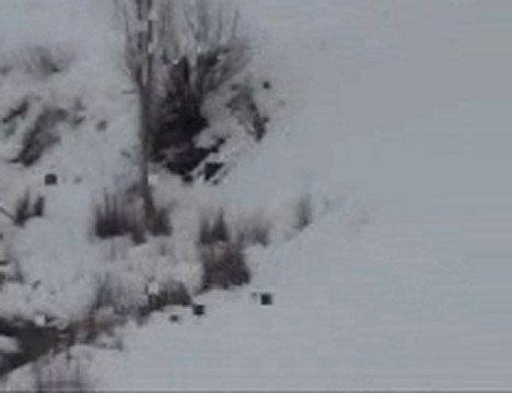 keklik avı 16-01-2010